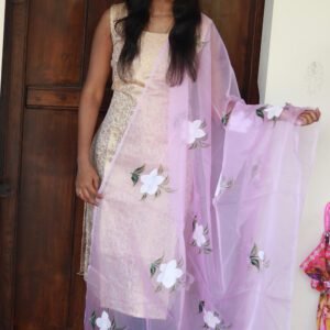 Light Pink Semi Organza Dupatta with All Over Embroidery